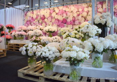 Really nice white Peony's from GreenWorks.